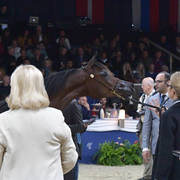 Yearling Filly: Alyssa OS