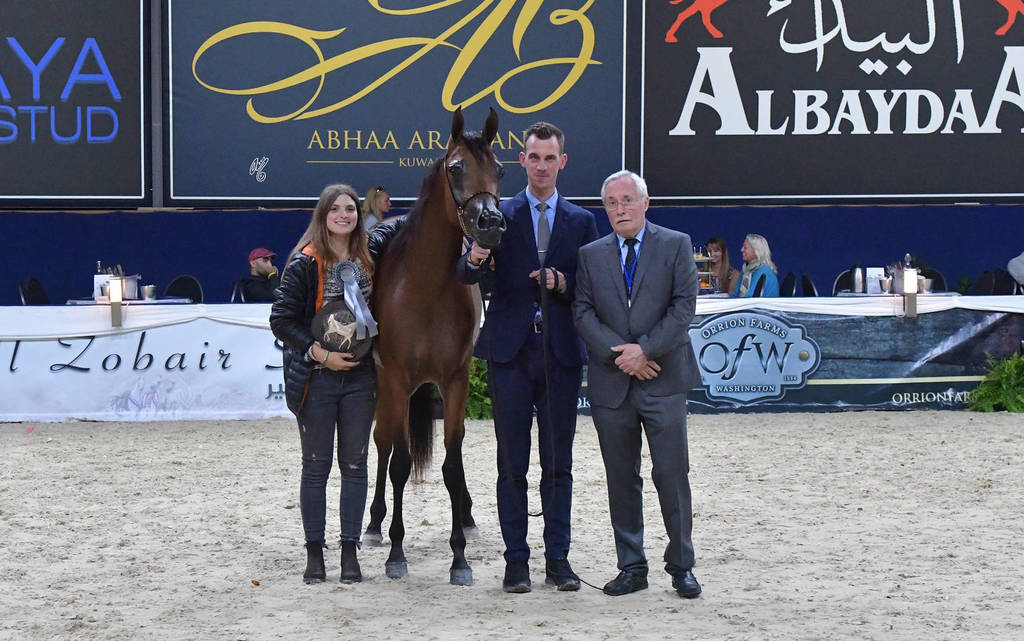 Fillies 3 Years: Assilah Al Shahania