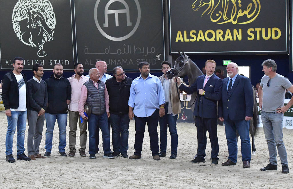 Fillies 3 Years: Lulu Al Wawan