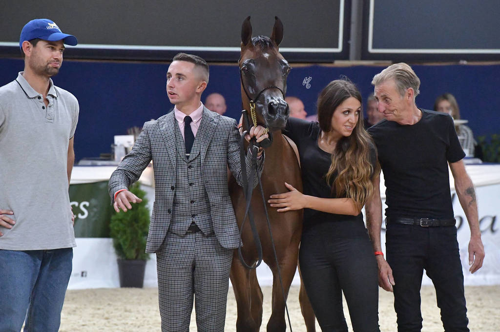 Yearling Colt: Duke Santonio ME