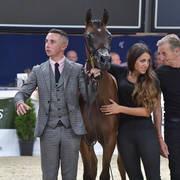 Yearling Colt: Duke Santonio ME