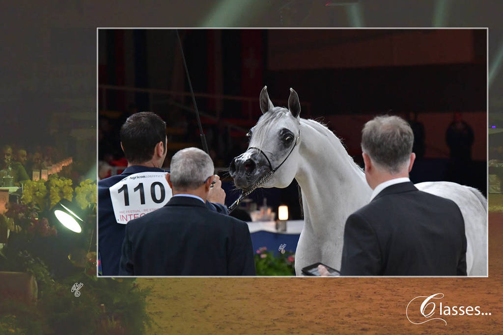 Lisa Abraham: The 2018 All Nations Cup Festival Photo Gallery