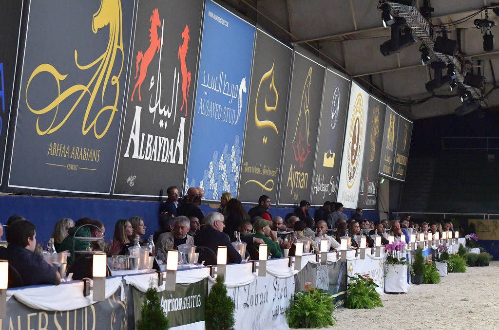 Lisa Abraham: The 2018 All Nations Cup Festival Photo Gallery