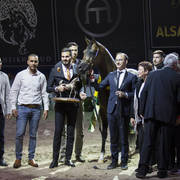 Senior Stallion Silver Champion: Equator (QR Marc X Ekliptyka) ~photo by Ashlyn Coleal