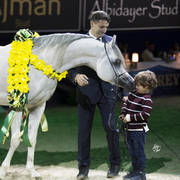 Junior Colt Gold Champion: AJ Kafu (Shanghai EA X AJ Kahayla) ~photo by Ashlyn Coleal