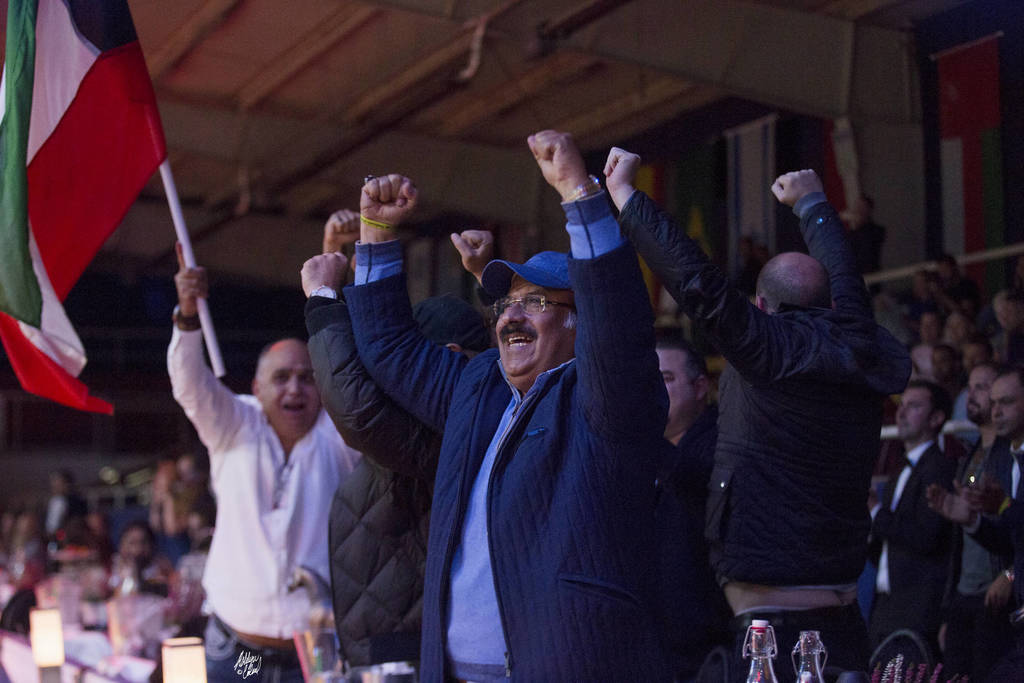 Senior Stallion Gold Champion: E.S. Harir ( AJ Dinar X TF Magnums Magic) ~photo by Ashlyn Coleal