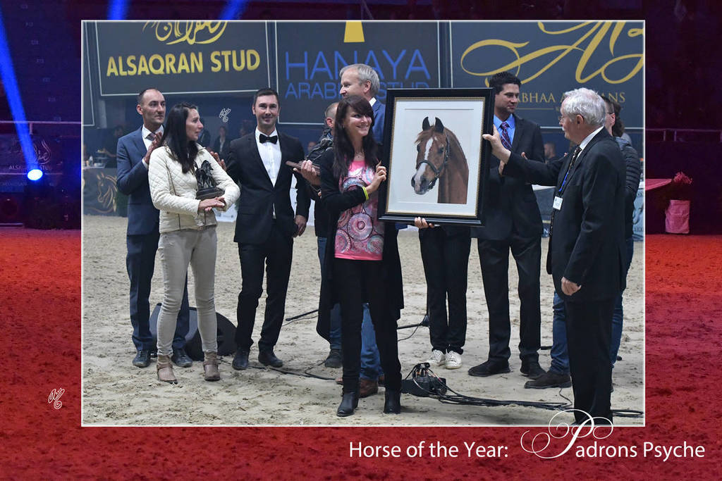 Lisa Abraham: The 2018 All Nations Cup Festival Photo Gallery