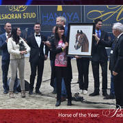 Lisa Abraham: The 2018 All Nations Cup Festival Photo Gallery