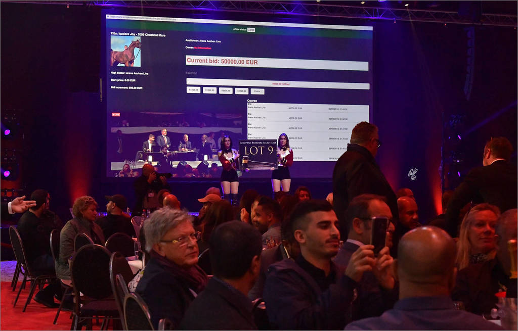 European Breeders Select Sale II, offered by The European Breeders Trust