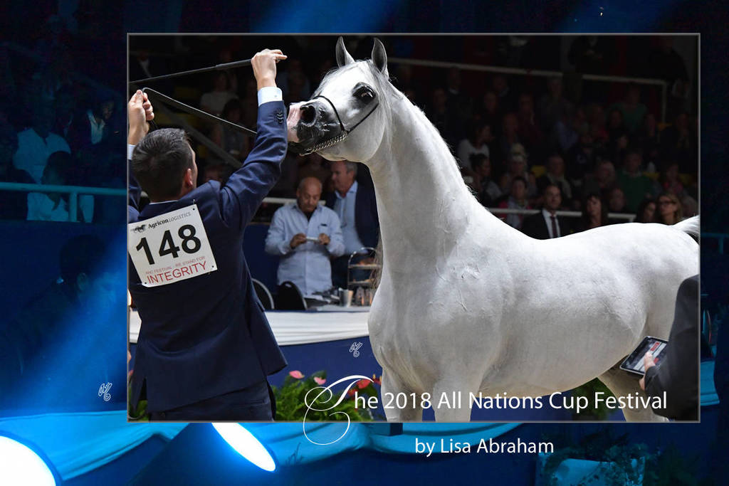 The 2018 All Nations Cup Festival