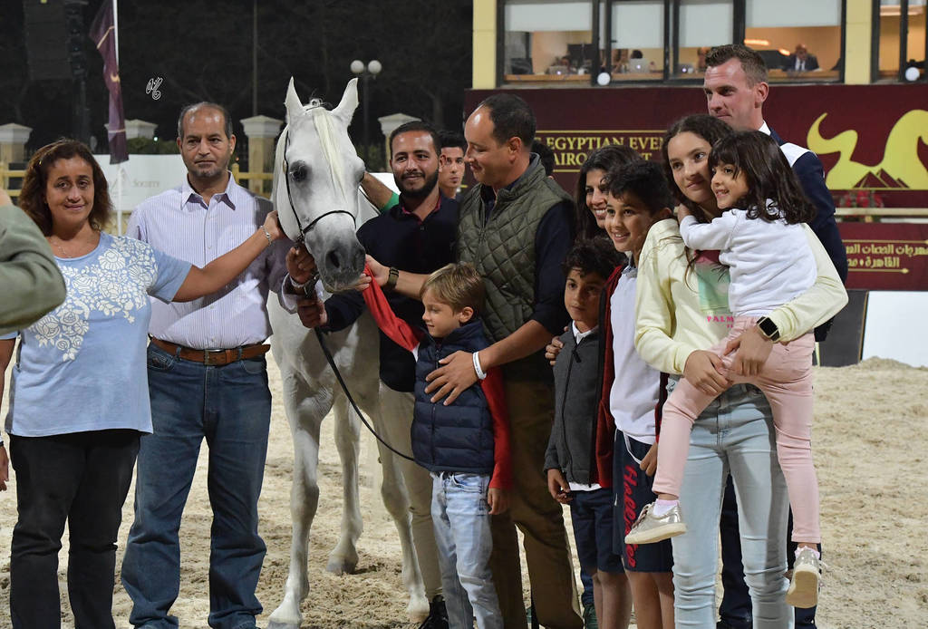 Senior Straight Egyptian Stallions Bronze Champion: Haytham Albadeia (Simeon Sharav X Galagel Albadeia)