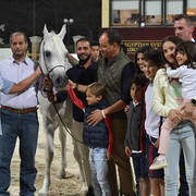 Senior Straight Egyptian Stallions Bronze Champion: Haytham Albadeia (Simeon Sharav X Galagel Albadeia)