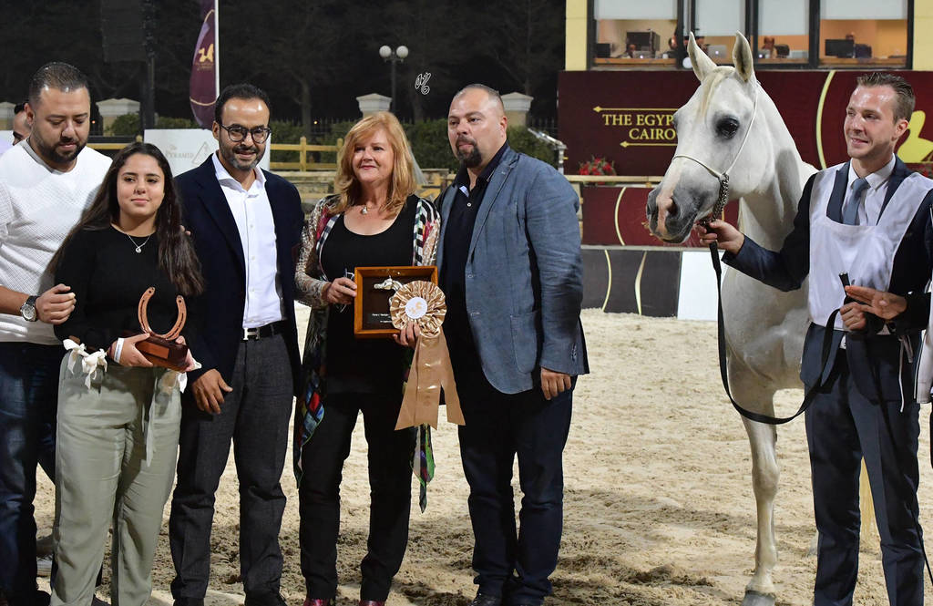 Senior Straight Egyptian Mares Bronze Champion: : Dalia KA (Marqius I X Georgia KA) 