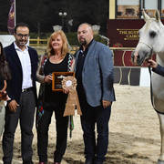Senior Straight Egyptian Mares Bronze Champion: : Dalia KA (Marqius I X Georgia KA) 