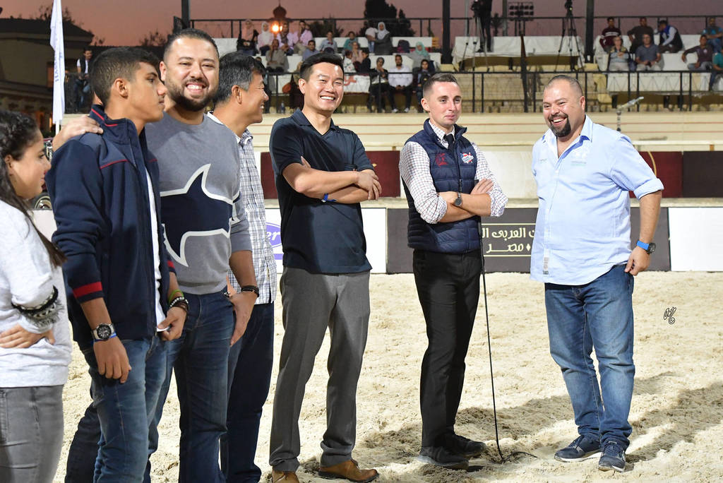 Straight Egyptian Stallions Gold Champion: Kareem El Farida (Abha Kareem X Beluis El   Farida) 