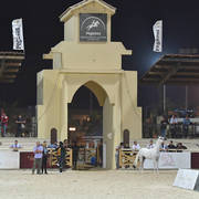 Straight Egyptian Stallions Silver  Champion: Al Pasha Oony (Ezz Ezzain X Menat Allah Oony) 