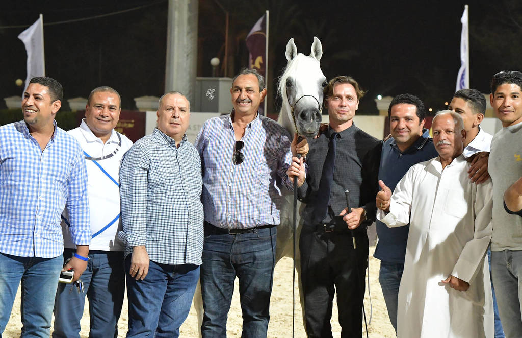 Straight Egyptian Stallions Silver  Champion: Al Pasha Oony (Ezz Ezzain X Menat Allah Oony) 