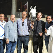 Straight Egyptian Stallions Silver  Champion: Al Pasha Oony (Ezz Ezzain X Menat Allah Oony) 