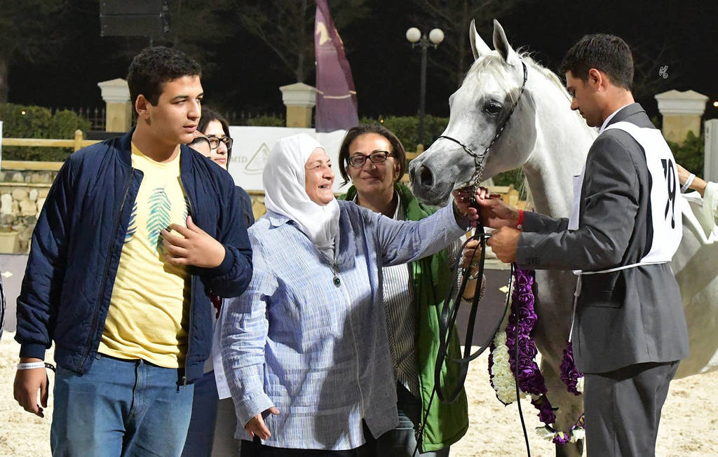 Straight Egyptian Mares Gold Champion: Safira Badrawi (Murtajeb Al Nakeeb X Nefisa Badrawi) 