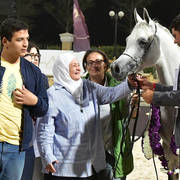 Straight Egyptian Mares Gold Champion: Safira Badrawi (Murtajeb Al Nakeeb X Nefisa Badrawi) 