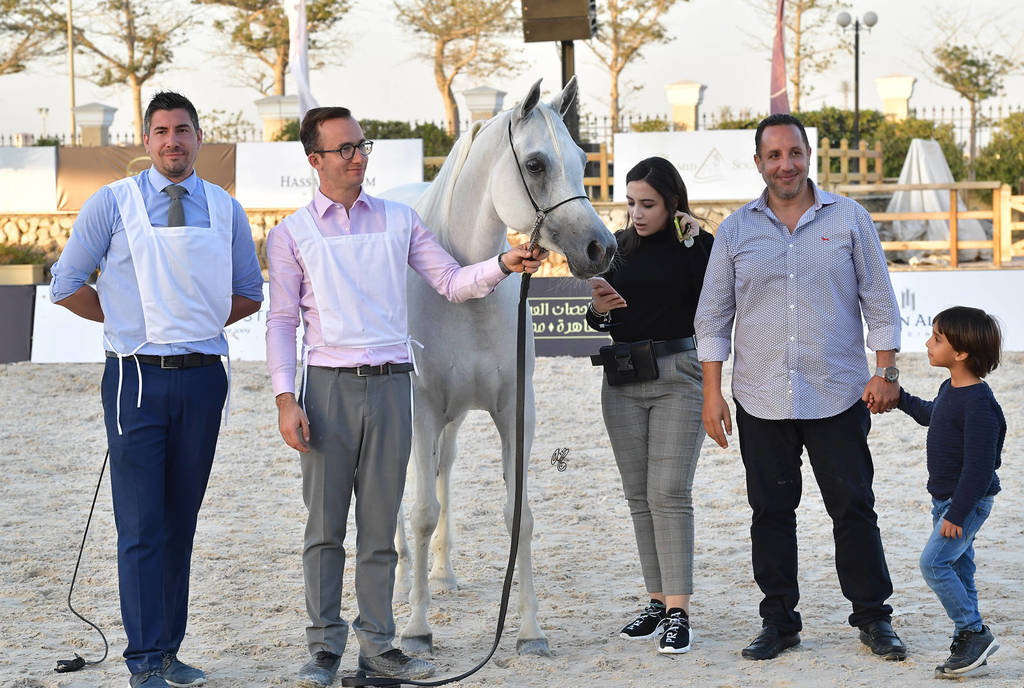Straight Egyptian Mares Bronze Champion: Naqham Al Baydaa (Jamil Al Rayyan X Magda Sakr) 