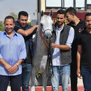 Straight Egyptian Junior Colts Gold Champion: Nayel Al Baydaa (Moez Al Baydaa X Noor Al Baydaa) 