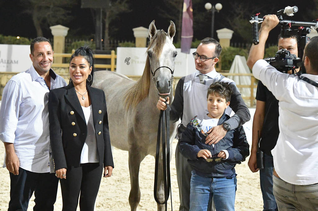 Straight Egyptian Junior Colts Silver Champion: Safwan Al Baydaa (Kasem Sakr X Sodfa El Gabry) 