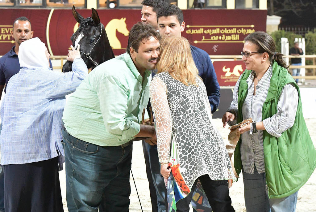 Straight Egyptian Junior Colts Bronze Champion: El Basha Badrawi  (Safir Badrawi X Haya Badrawi)