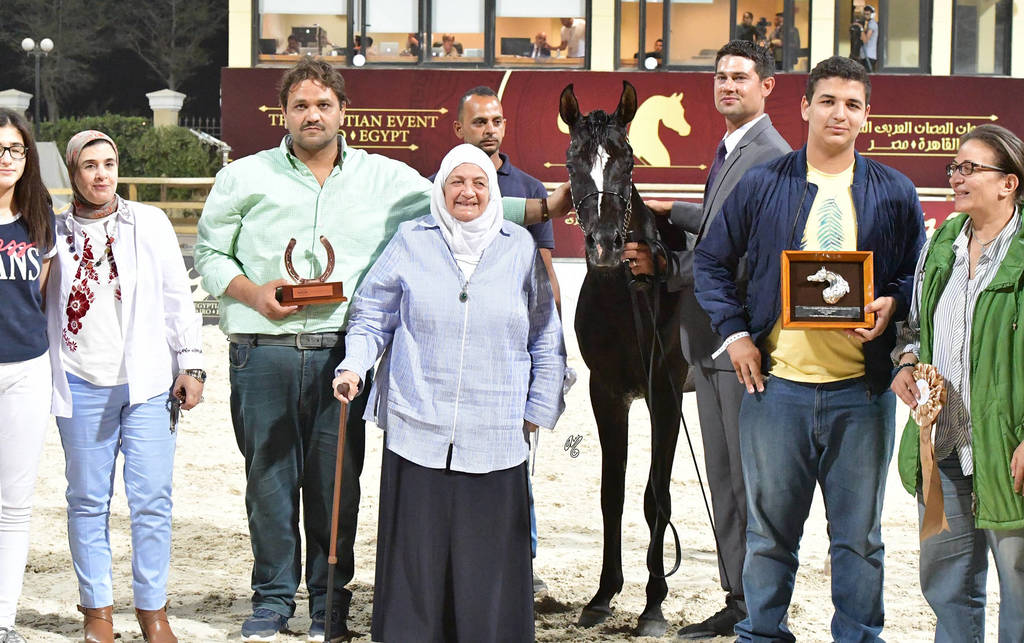 Straight Egyptian Junior Colts Bronze Champion: El Basha Badrawi  (Safir Badrawi X Haya Badrawi)