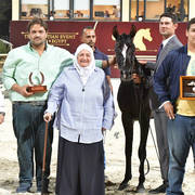 Straight Egyptian Junior Colts Bronze Champion: El Basha Badrawi  (Safir Badrawi X Haya Badrawi)