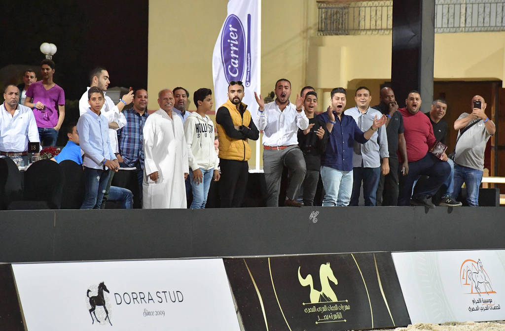 Lisa Abraham: The 2018 Egyptian Event ~ Cairo Photo Gallery