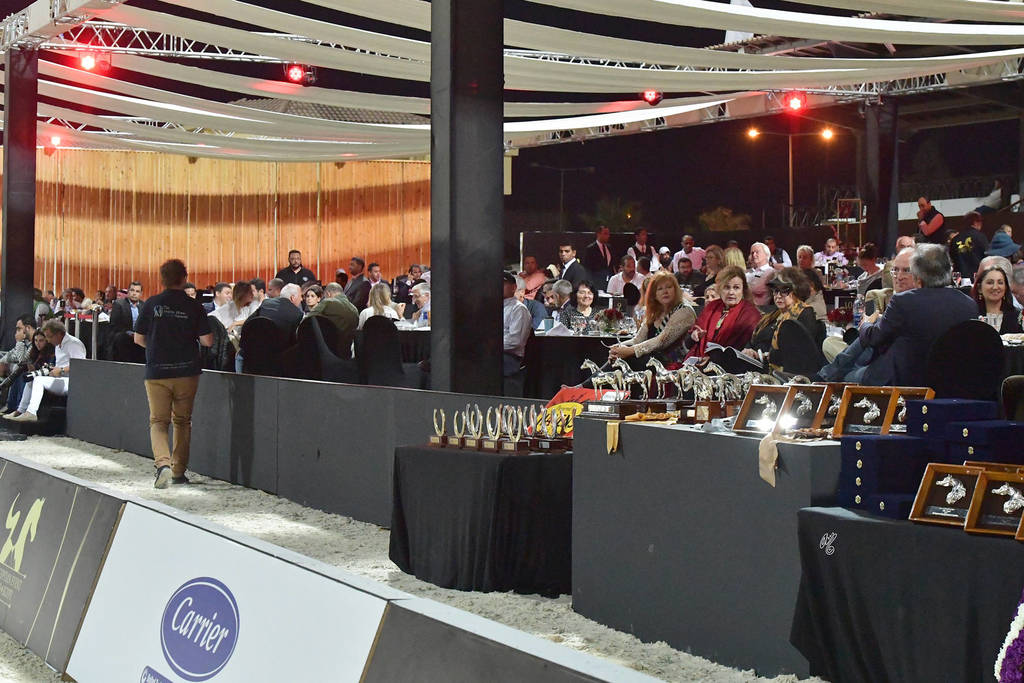 Lisa Abraham: The 2018 Egyptian Event ~ Cairo Photo Gallery