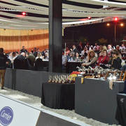 Lisa Abraham: The 2018 Egyptian Event ~ Cairo Photo Gallery