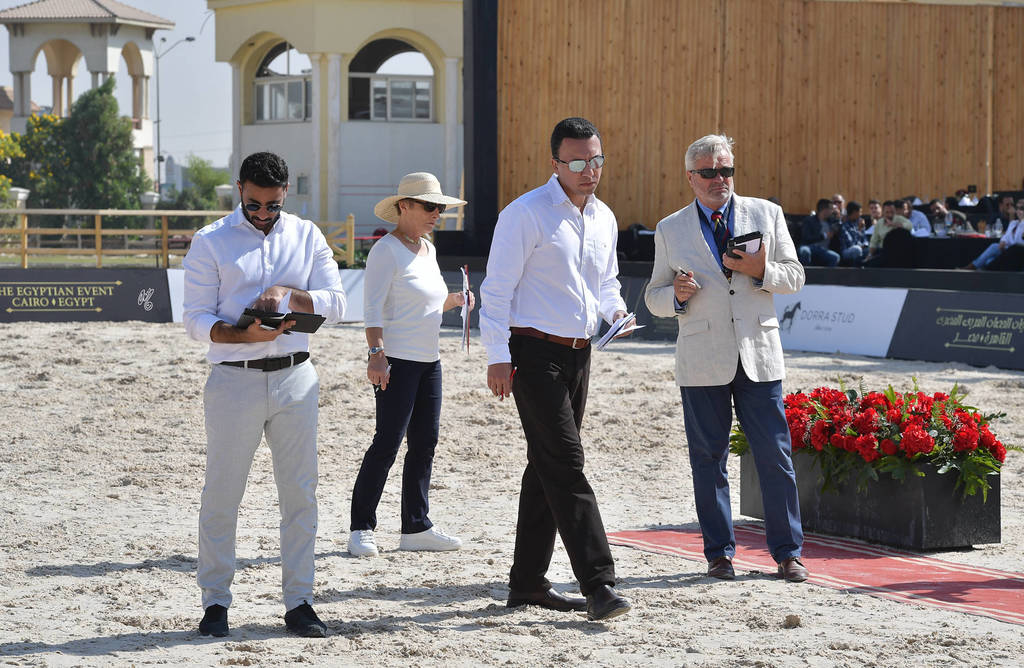 Lisa Abraham: The 2018 Egyptian Event ~ Cairo Photo Gallery