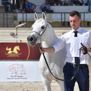 Senior Mares 11 Years and Older: Kamarain Albadeia