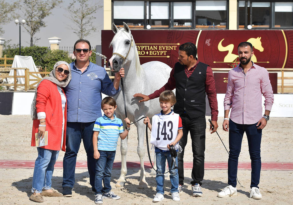 Senior Mares 11 Years and Older: Noha KBS