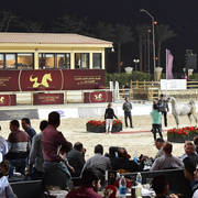 Stallions 5-7 Years: Kais Al Masry