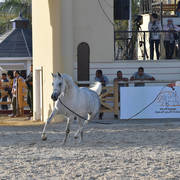 Mares 5-7 Years: Haya Badrawi