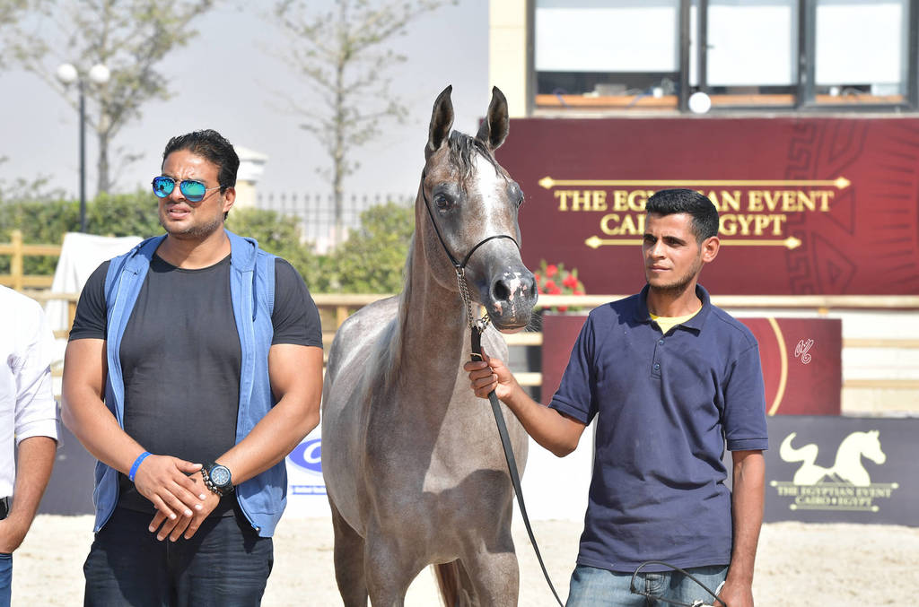 Two Year Old Fillies: Baarilla El Farida