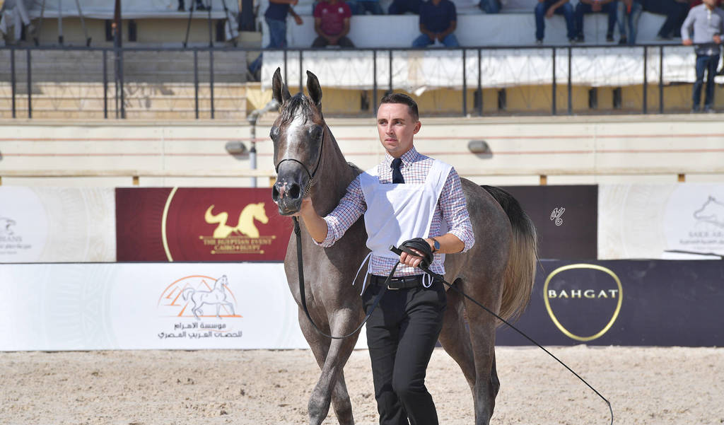 Two Year Old Fillies: Baarilla El Farida