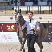 Two Year Old Fillies: Baarilla El Farida