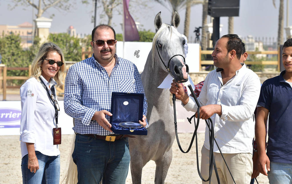 Two Year Old Fillies: Safyaa Al Jaidaa