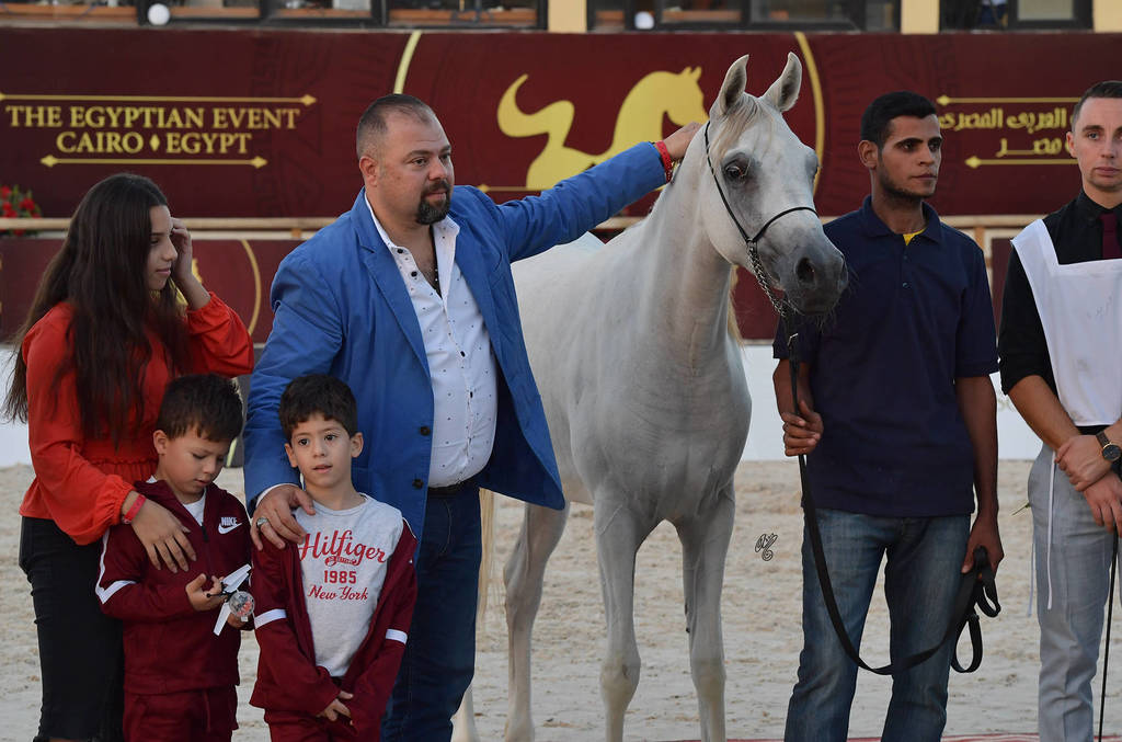 Yearling Filly: Farida Al Kharafi