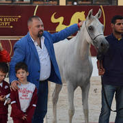 Yearling Filly: Farida Al Kharafi