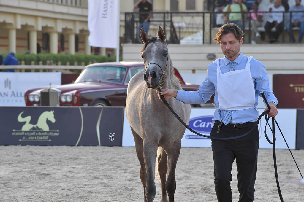 Yearling Filly: Gamila Oony