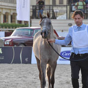 Yearling Filly: Gamila Oony