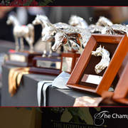 Lisa Abraham: The 2018 Egyptian Event ~ Cairo Photo Gallery