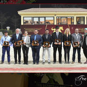 Lisa Abraham: The 2018 Egyptian Event ~ Cairo Photo Gallery