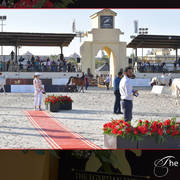 Lisa Abraham: The 2018 Egyptian Event ~ Cairo Photo Gallery