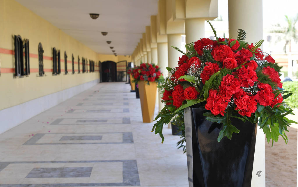 Lisa Abraham: The 2018 Egyptian Event ~ Cairo Photo Gallery